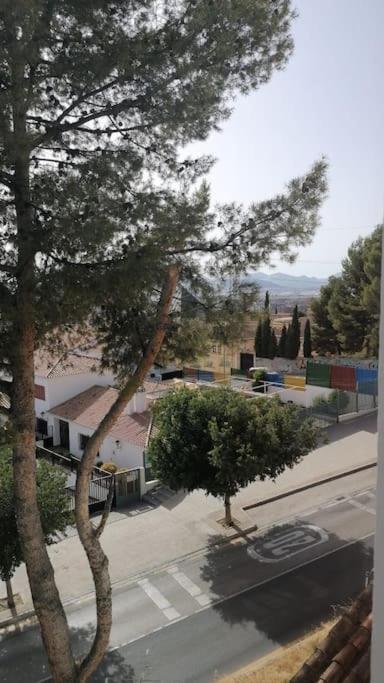 Views, Family & Private Parking In Alto Albayzin Apartment Granada Ngoại thất bức ảnh